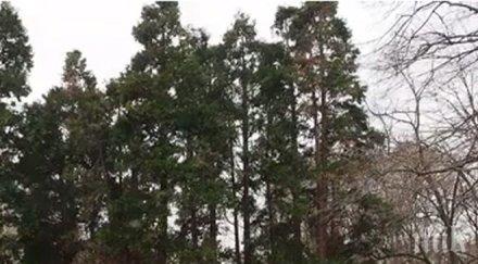 пик ботаническа градина екопарк варна първият екопарк страната