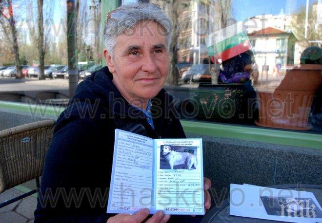 Хасковлийка безутешна, от две седмици търси кучето си Рони