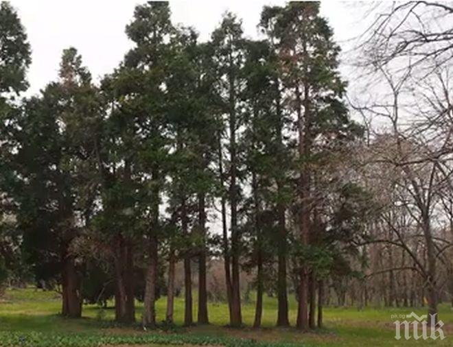 ПИК TV: Ботаническа градина Екопарк – Варна е първият екопарк в страната