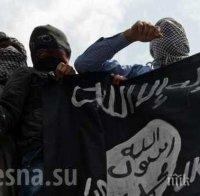 Пленен джихадист разкри връзките на Турция с „Ислямската държава“ в Сирия