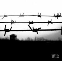 Зловещо! В концлагера Берген-Белзен жертвите на нацизма ставали канибали от глад