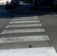 Кола отнесе ученичка на зебра