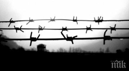 зловещо концлагера берген белзен жертвите нацизма ставали канибали глад