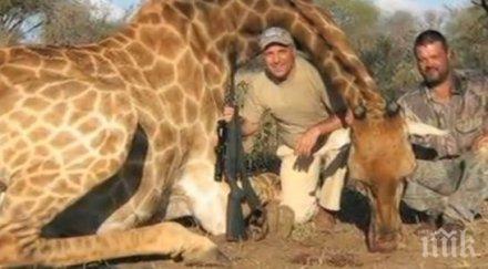 стоичков отворено писмо сафарито африка