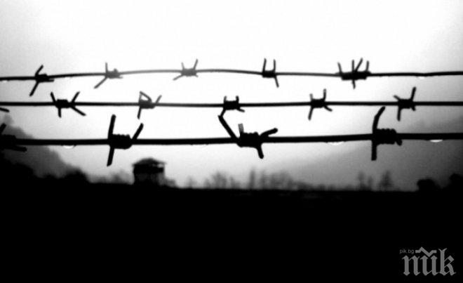 Зловещо! В концлагера Берген-Белзен жертвите на нацизма ставали канибали от глад