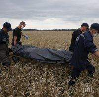 ПАНИКА! Разлагащ се труп на мъж, отровени кози и кучета откриха край село Мусомища

