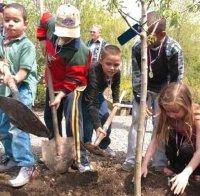 Стотици деца засадиха фиданки в Хасково