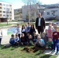Озеленяват детски градини в Ардино за Седмицата на гората