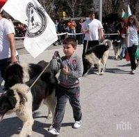 Показват синьо куче на киноложка изложба в Пловдив