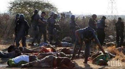 откриха масов гроб покрайнините палмира