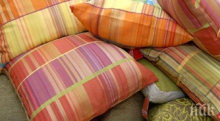 международен ден бой възглавници