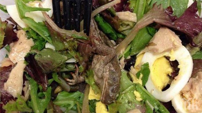 Черна борса за екзотични животни въртят зоопаркове