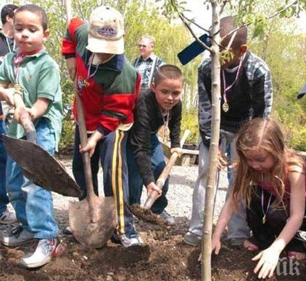 Стотици деца засадиха фиданки в Хасково