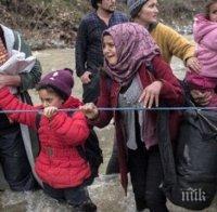 Първата група мигранти бе върната в Турция


