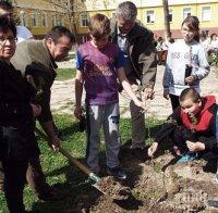 Зелените отряди от Момчилград садиха червен дъб и кедър