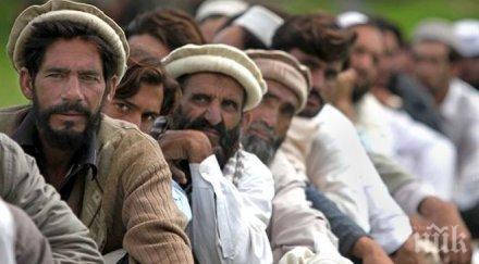 задържаха нелегални афганистанци видин