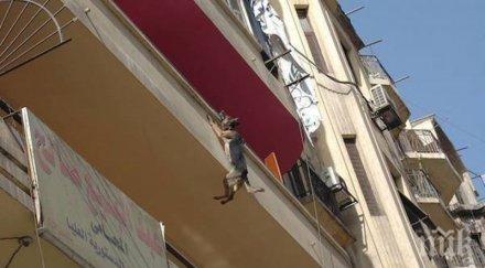 часа куче вися балкон случи после