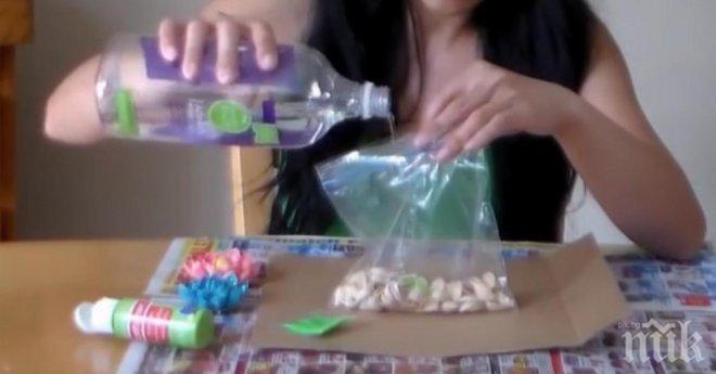 Тя събра всички черупки от шам фъстъците и направи нещо уникално с тях!