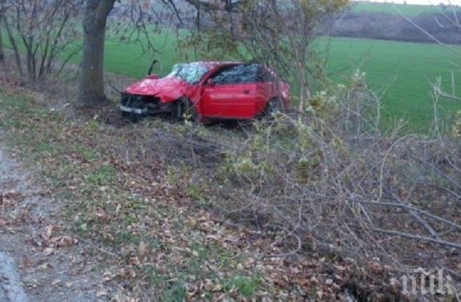 Почерпен джигит се заби в дърво в Монтанско
