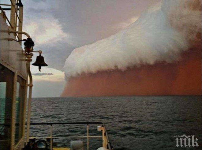 13 снимки, които приличат на фотошоп, но всъщност са плашещо реални!