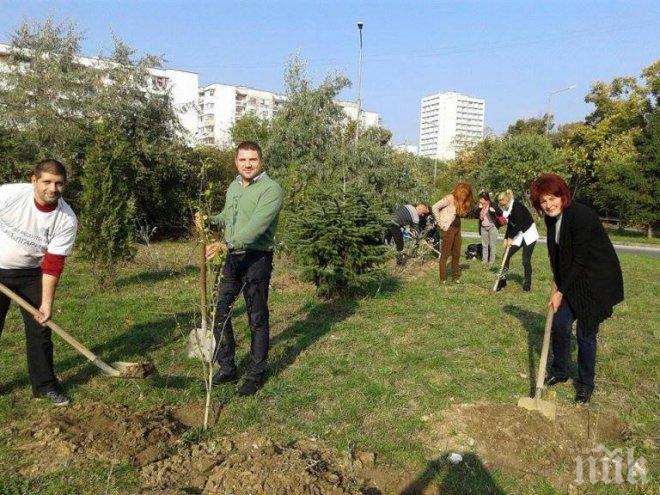 Залесяването на дървесни видове и храсти в Община Кула ще започне през есента