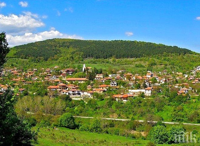 Извадиха на търг цяло село
