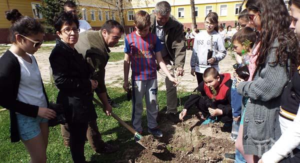 Зелените отряди от Момчилград садиха червен дъб и кедър
