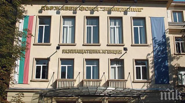 Над 430 са подадените заявления по схемите за хуманно отношение към птици и свине