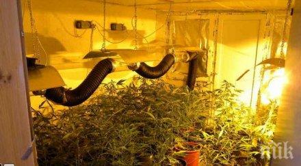 разкриха нарколаборатория дупнишко арестуваха собственика