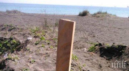 зловещо бургаският плаж превърна гробище домашни любимци снимки