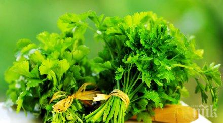 магданозът гори излишните калории