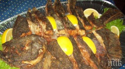 пик забраната улов калкан сила