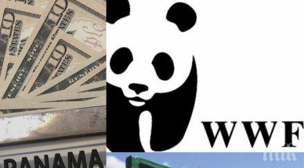лицемерие нпо wwf хем скача офшорките хем своя панама