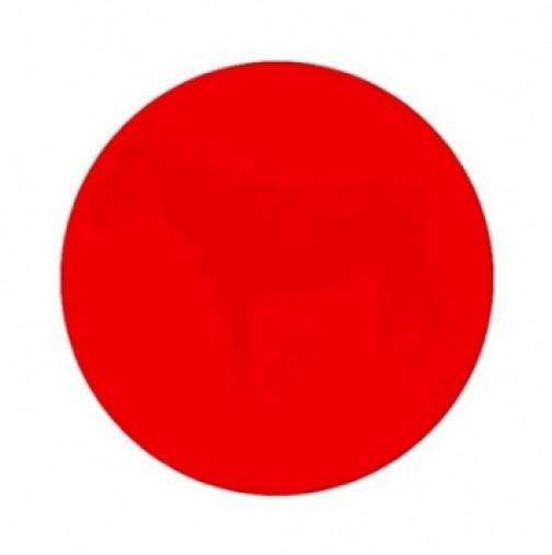 Какво виждаш като погледнеш червената точка? Интернет полудя по тази загадка!!!