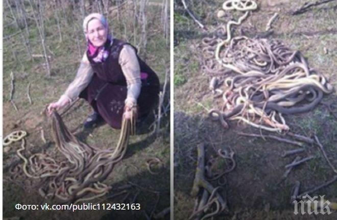 Смела селянка уби 80 змии, биолози искат да я линчуват