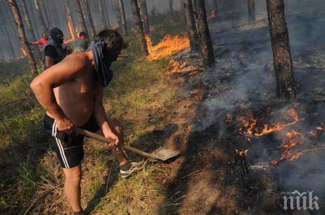 Два дни гасиха 118 декара край Стамболийски