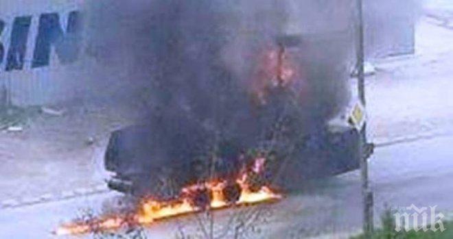 Пожарникари спасиха 50 зайчета от пожар в руски затвор