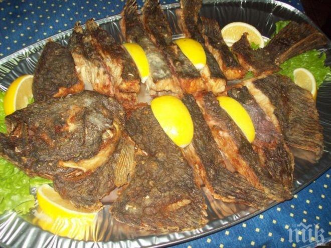 ПИК TV: Забраната за улов на калкан е в сила