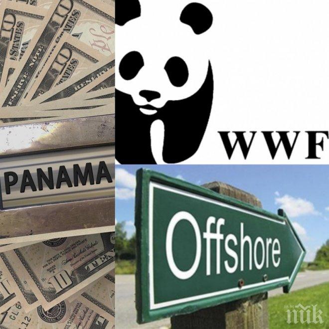 ЛИЦЕМЕРИЕ! НПО-то WWF хем скача срещу офшорките, хем има своя в Панама