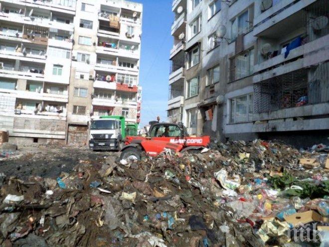 Чудо! Доброволчески патрули в Столипиново ще следят да се пази чисто