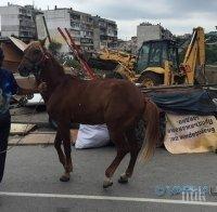 Днес е Международен ден на ромите