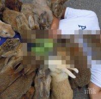 Най-жестоките нападения върху хора от животни! Невероятна колекция снимки!