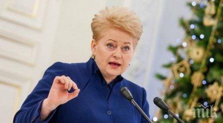 далия грибаускайте новият плат бежанците неприемлив литва