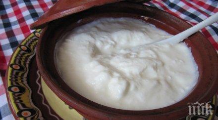 масови проверки мляко млечни продукти магазините