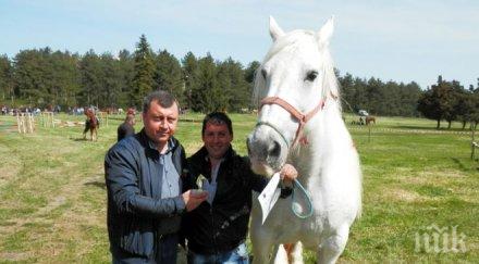 младен огнянов показа красивия кон старостилен тодоровден павликени