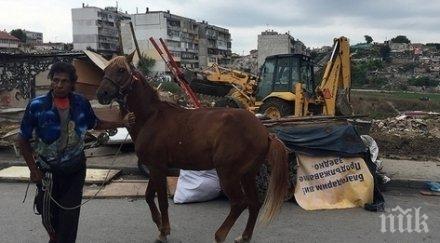 международен ден ромите