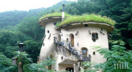 архитектите домове показват градината озове покрива