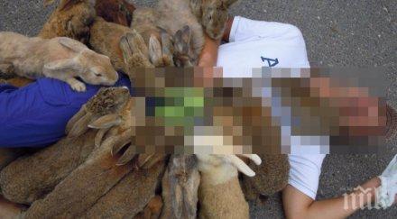 жестоките нападения хора животни невероятна колекция снимки