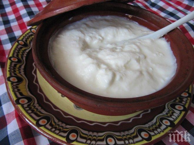 Масови проверки на мляко и млечни продукти по магазините
