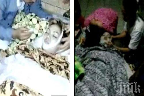 Ужасяващ край! Кралска кобра ухапа попзвезда на сцената, но тя продължи да пее (видео)